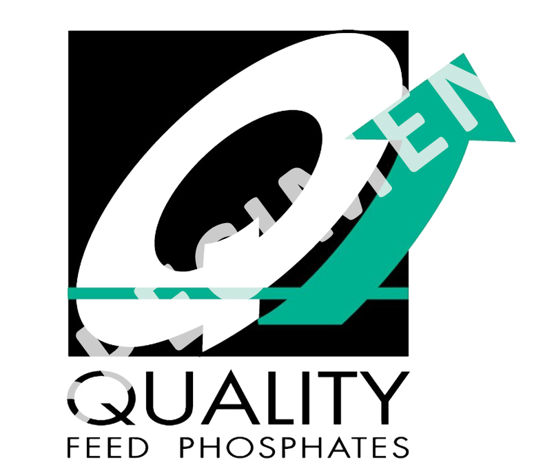 IFP Q logo web