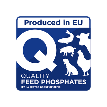 IFP Q logo web